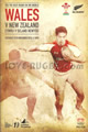 Wales v New Zealand 2010 rugby  Programme